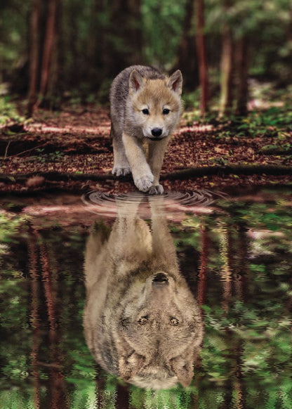 🔥LAST DAY 80% OFF-Wolf and Pup Water Reflection
