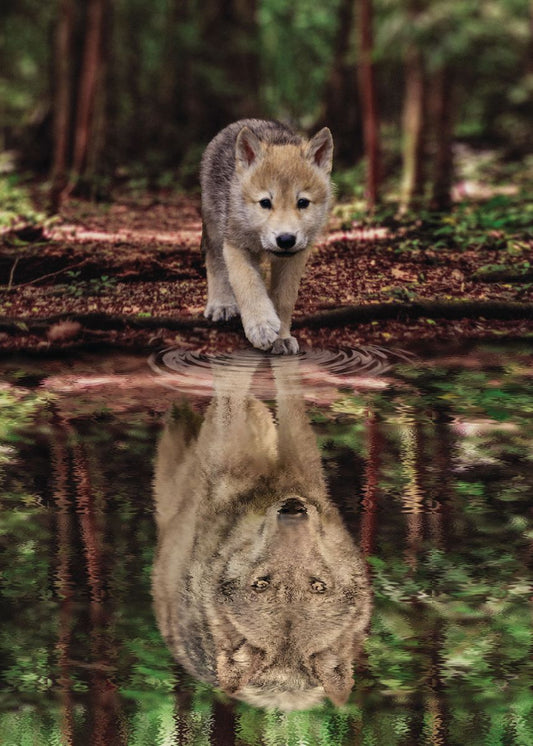 🔥DERNIER JOUR 80 % DE RÉDUCTION - Réflexion sur l'eau des loups et des chiots