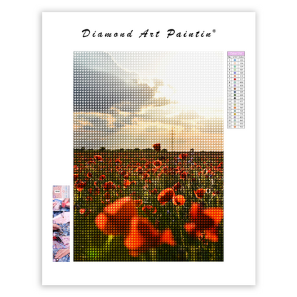 🔥LAST DAY 80% OFF-A Red Poppy Flowers on the Field