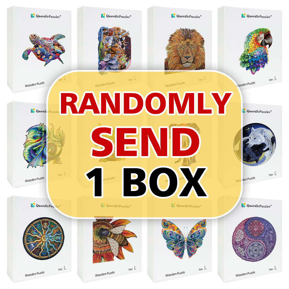 🔥Last Day For Lowest Price Sale-Mystery Box Puzzle - Randomly Send 1 Box