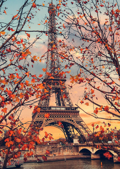 🔥LAST DAY 80% OFF-Paris Autumn Leaves