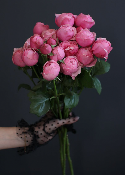 🔥LAST DAY 80% OFF-A Person Holding Pink Roses with Green Leaves