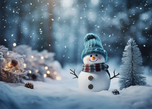 🔥LAST DAY 80% OFF-A Cute Toy Snowman in a Hat and Scarf