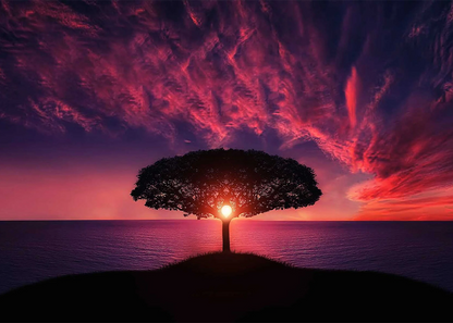 🔥LAST DAY 80% OFF-Sea Tree Purple Sky Nature