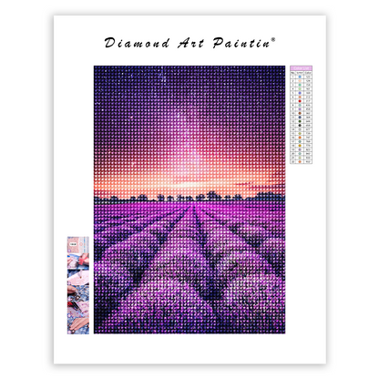 🔥LAST DAY 80% OFF-Lavenders Field In The Starry Sky