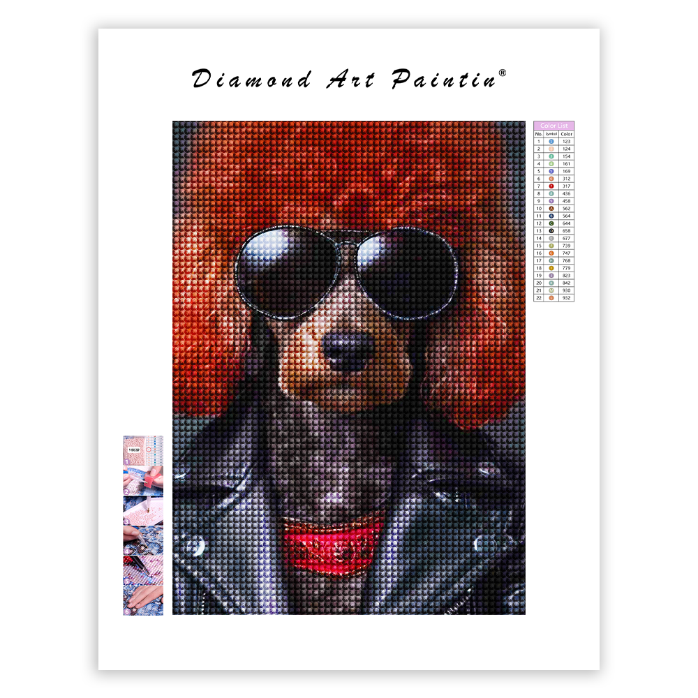 🔥LAST DAY 80% OFF-A poodle dog wore sunglasses