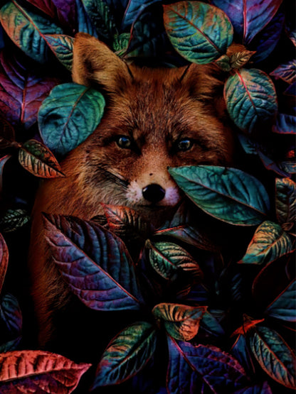 🔥LAST DAY 80% OFF-Rainbow fox